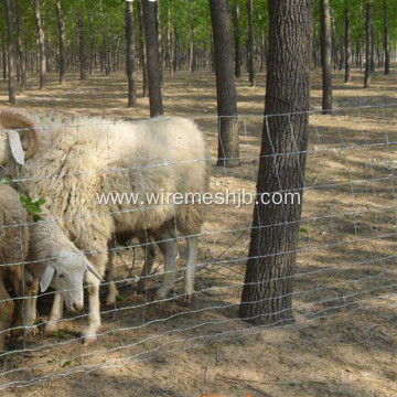 Woven Wire Field Fence For Deer And Goat